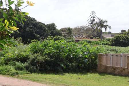 House photo
